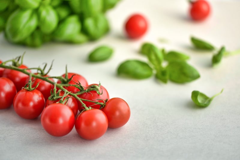Food Ingredients